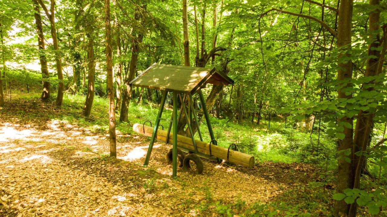 Bed and Breakfast Adventure Farm Store Экстерьер фото